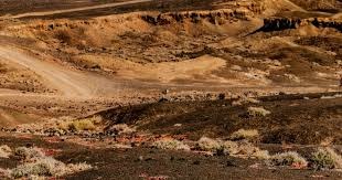 曾为《生化危机4》反派克劳泽献声的配音演员吉姆逝世